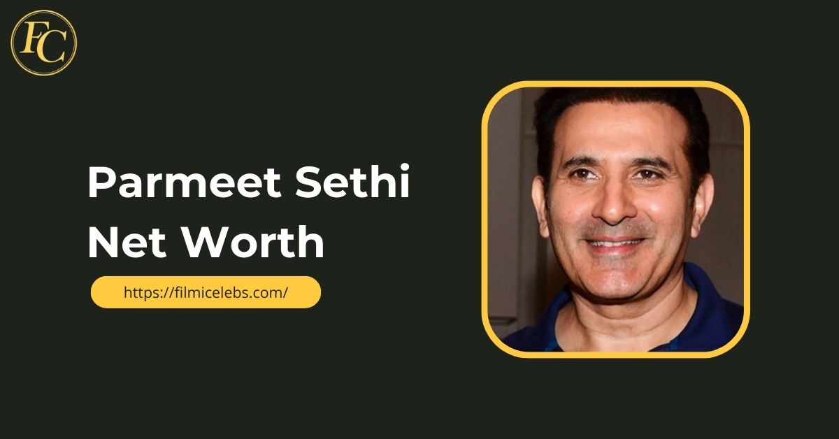 parmeet-sethi-net-worth